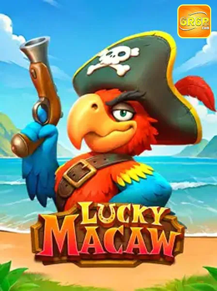 Jogador interagindo com dealer em live gaming na 6r6r.com